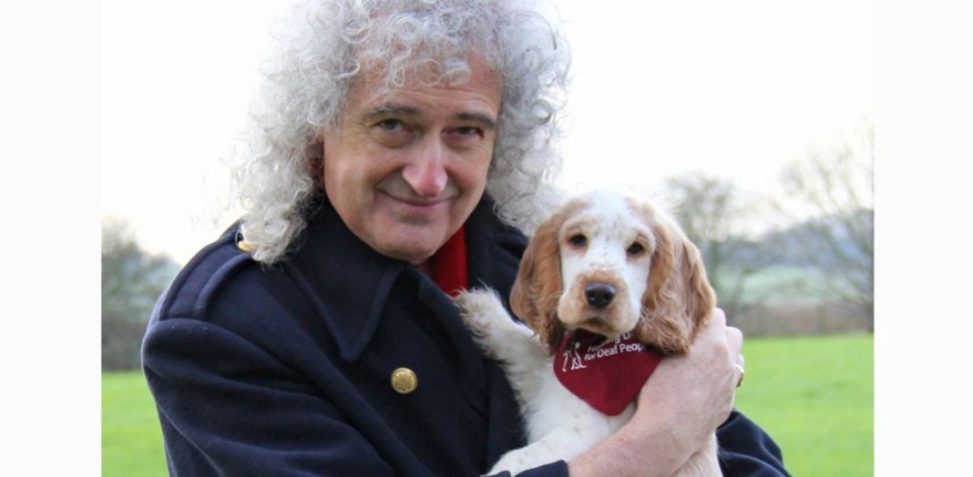 Guitarrista do Queen quer ser lembrado por combater a crueldade contra os animais