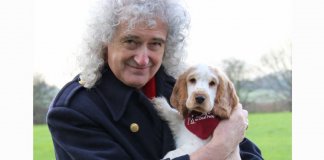 Guitarrista do Queen quer ser lembrado por combater a crueldade contra os animais