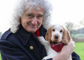 Guitarrista do Queen quer ser lembrado por combater a crueldade contra os animais