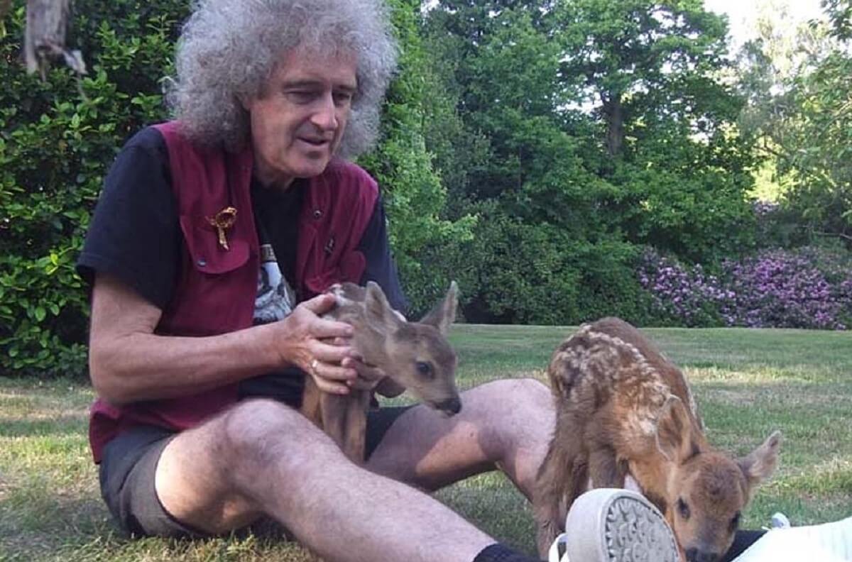 sensivel-mente.com - Guitarrista do Queen quer ser lembrado por combater a crueldade contra os animais