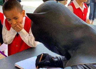 Filho recebe Batman em sua escola sem saber que era seu PAI