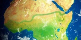 Avança a grande muralha verde de 8.000 Km de árvores para salvar a África e o mundo