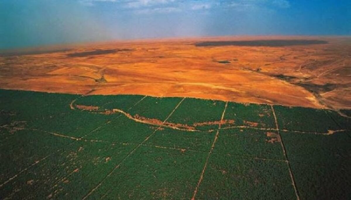 Muralha verde 2 - Avança a grande muralha verde de 8.000 Km de árvores para salvar a África e o mundo