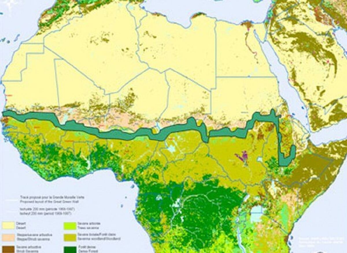 Muralha verde 4 - Avança a grande muralha verde de 8.000 Km de árvores para salvar a África e o mundo