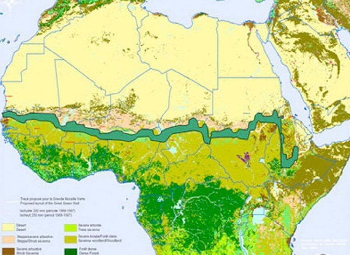 sensivel-mente.com - Avança a grande muralha verde de 8.000 Km de árvores para salvar a África e o mundo