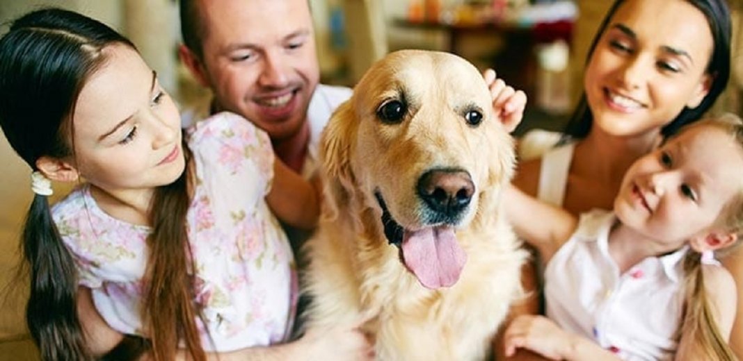 “Os cães encaram seus donos como se fossem seus pais”, afirma estudo