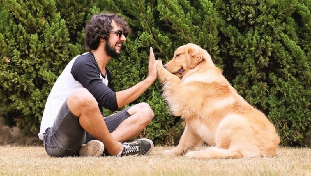 Falar com seu pet não é loucura, significa inteligência social, conclui estudo