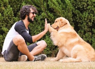 Falar com seu pet não é loucura, significa inteligência social, conclui estudo