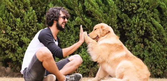 Falar com seu pet não é loucura, significa inteligência social, conclui estudo