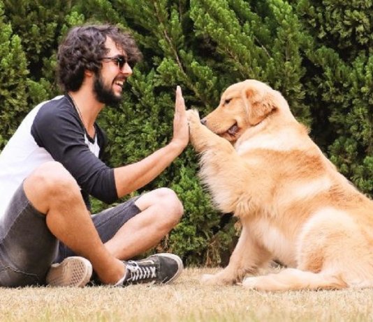 Falar com seu pet não é loucura, significa inteligência social, conclui estudo