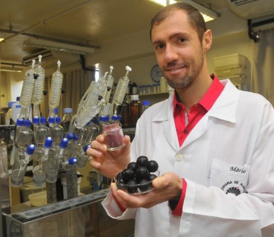 Extrato de Jabuticaba pra diabetes e gordura no fígado será comercializado