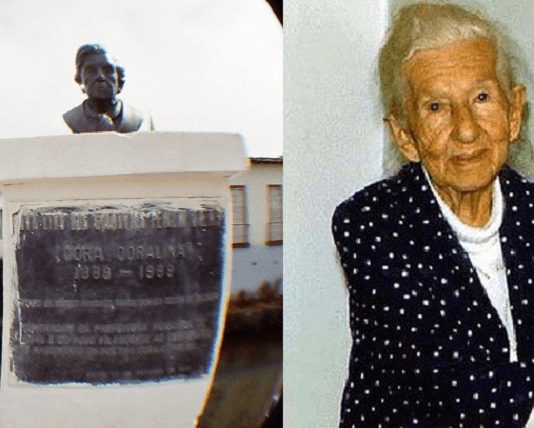 Assim eu vejo a vida, a sabedoria em versos. – Cora Coralina