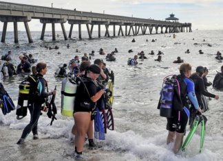 633 mergulhadores batem record mundial de limpeza submarina