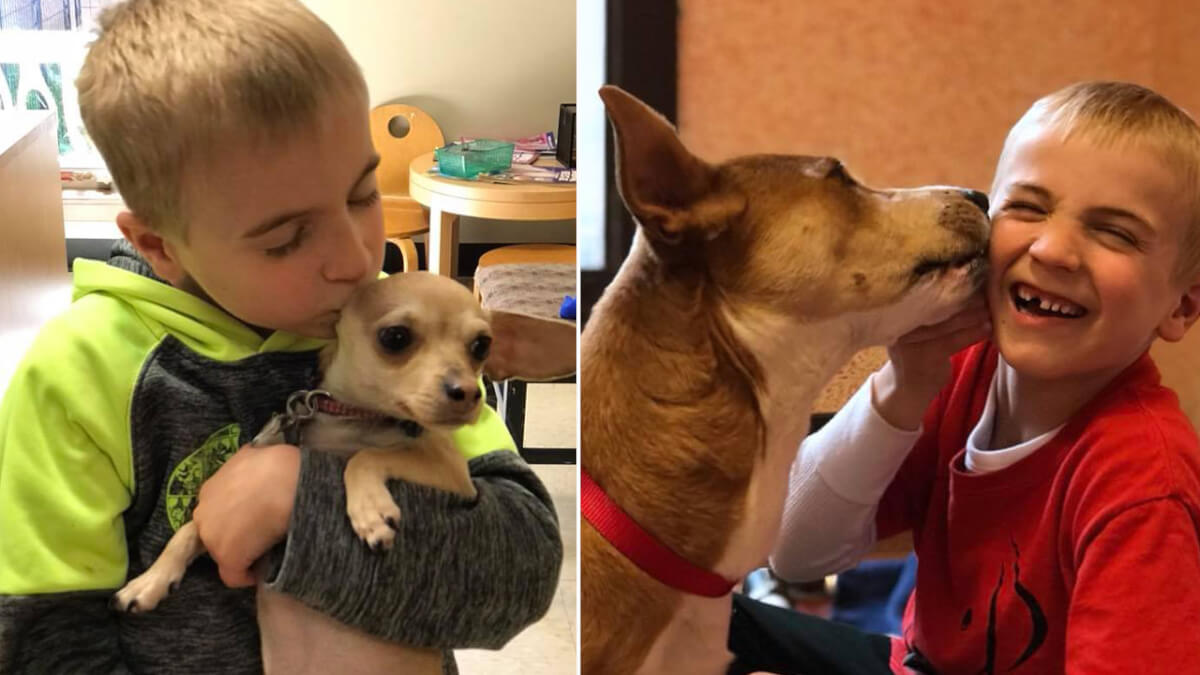 sensivel-mente.com - Garoto de 7 anos recebe prêmio da ASPCA por ter salvo mais de 1.300 cachorros