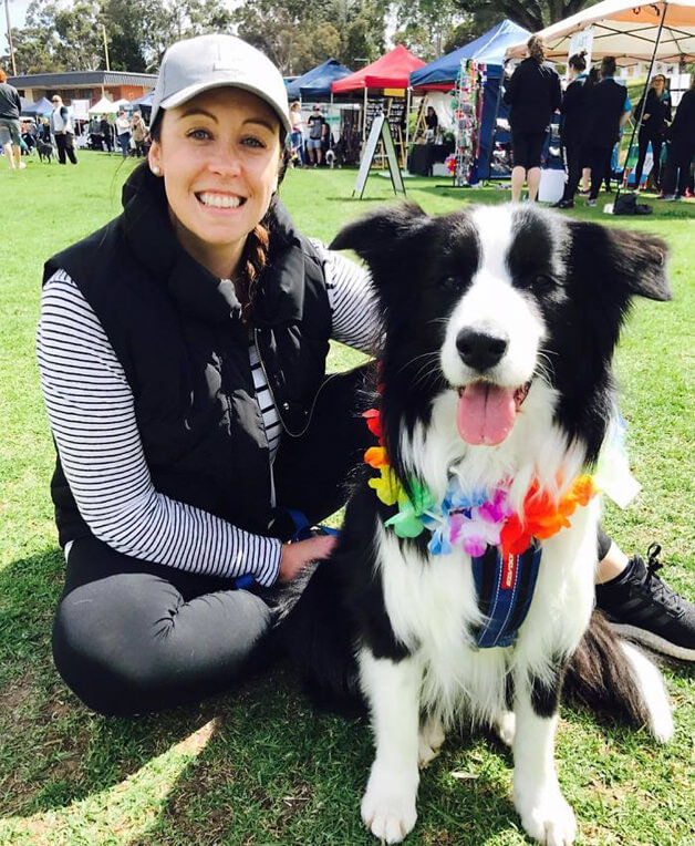 sensivel-mente.com - Juntaram 576 Border Collies e bateram um belo recorde de fofura na Austrália