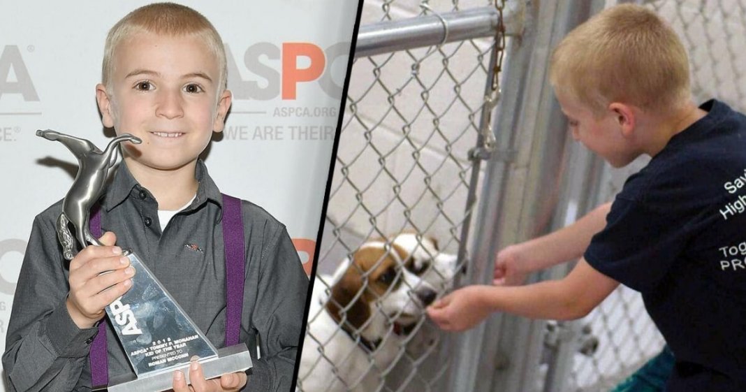 Garoto de 7 anos recebe prêmio da ASPCA por ter salvo mais de 1.300 cachorros