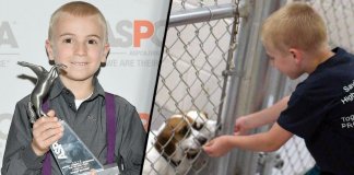 Garoto de 7 anos recebe prêmio da ASPCA por ter salvo mais de 1.300 cachorros