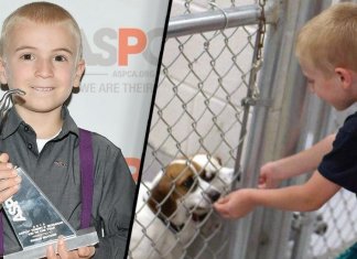 Garoto de 7 anos recebe prêmio da ASPCA por ter salvo mais de 1.300 cachorros