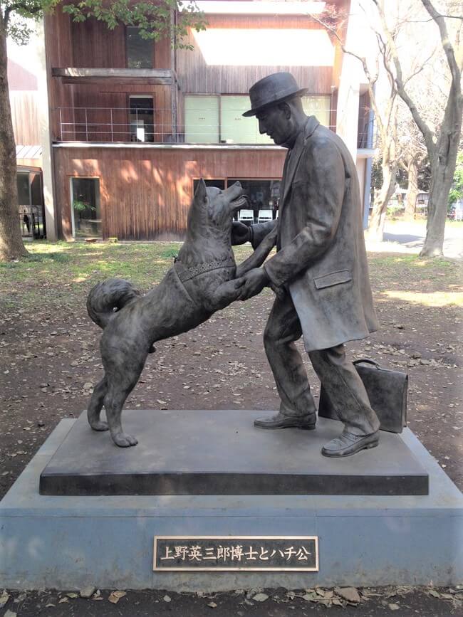 Hachikō - Uma história que ensina-nos o amor incondicional Statue of Hachiko and Professor Ueno reunion University of Tokyo - Hachikō - Uma história que ensina-nos o amor incondicional