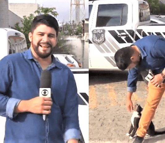 Repórter da Rede Globo tenta trabalhar e é parado por um “ataque fofo”