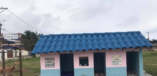 Vizinhança se junta e criam “cãodomínio” um abrigo que recebe animais de rua no RJ