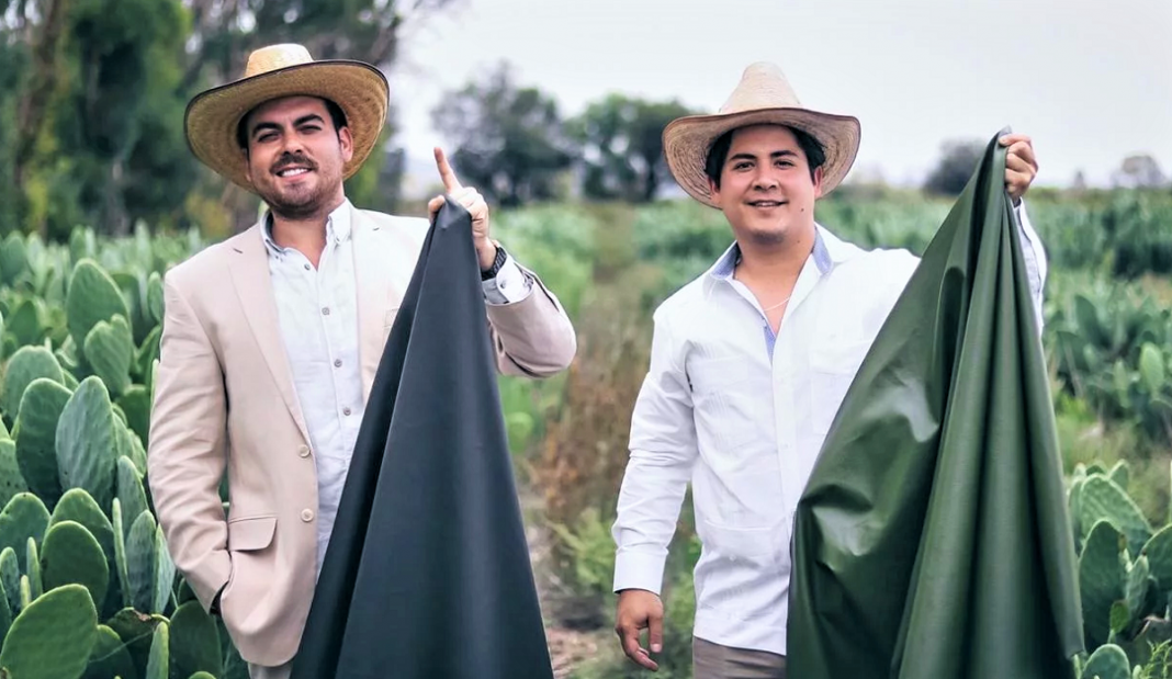 Em substituição ao couro animal, mexicanos criaram a “pele” de cacto