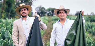 Em substituição ao couro animal, mexicanos criaram a “pele” de cacto