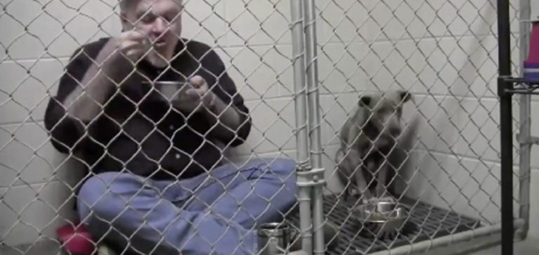 Veterinário se tranca em canil de filhote de Pit Bull doente, come com ela e ganha a sua confiança – Assista ao vídeo