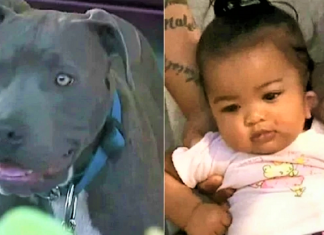 Pitbull puxa bebezinha pela fralda e a salva do incêndio