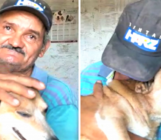 Pedreiro perde sua casa em incêndio, e chora ao reencontrar seu cachorrinho