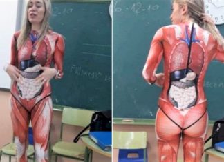 Professora viralizou nas redes sociais ao inovar na visualização da aula de anatomia