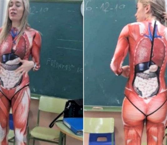Professora viralizou nas redes sociais ao inovar na visualização da aula de anatomia
