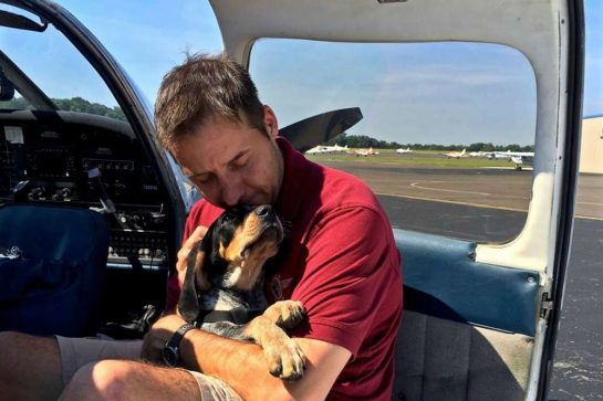 sensivel-mente.com - Homem comprou avião para salvar da eutanásia cães e gatos