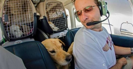 sensivel-mente.com - Homem comprou avião para salvar da eutanásia cães e gatos