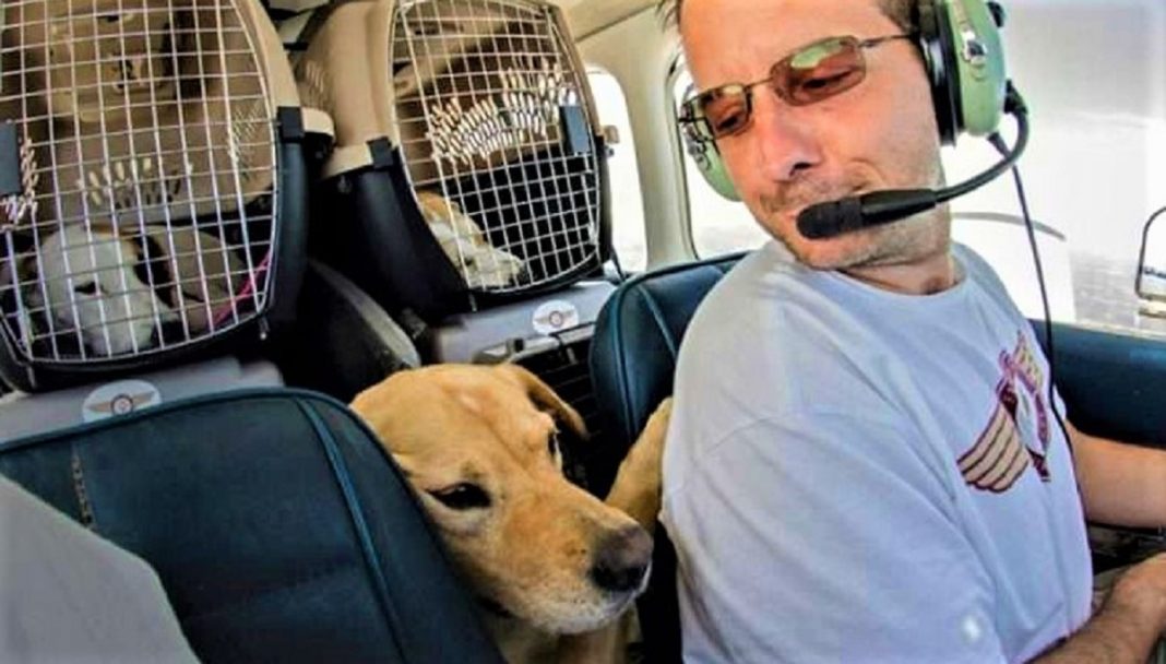 Homem comprou avião para salvar da eutanásia cães e gatos