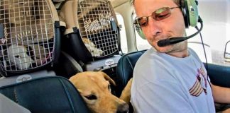 Homem comprou avião para salvar da eutanásia cães e gatos
