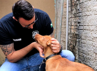 “Policiais chorando de revolta”: a conexão internacional da quadrilha de rinha de cães que chocou o país