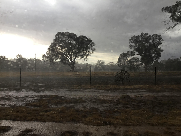 3 7 - Finalmente chove forte na Austrália, apagando mais de 30 incêndios mortais
