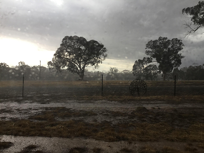 sensivel-mente.com - Finalmente chove forte na Austrália, apagando mais de 30 incêndios mortais