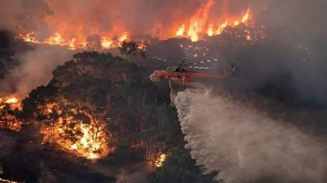 Austrália é destruída aos poucos pelos incêndios florestais que se espalham; descubra as causas (VÍDEO)