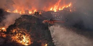 Austrália é destruída aos poucos pelos incêndios florestais que se espalham; descubra as causas (VÍDEO)