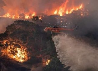 Austrália é destruída aos poucos pelos incêndios florestais que se espalham; descubra as causas (VÍDEO)