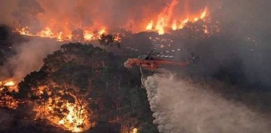 Austrália é destruída aos poucos pelos incêndios florestais que se espalham; descubra as causas (VÍDEO)
