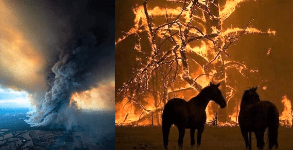 Austrália é destruída aos poucos pelos incêndios florestais que se espalham; descubra as causas (VÍDEO) sensivel-mente.com - Austrália é destruída aos poucos pelos incêndios florestais que se espalham; descubra as causas (VÍDEO)