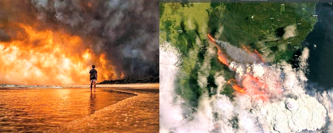 sensivel-mente.com - Austrália é destruída aos poucos pelos incêndios florestais que se espalham; descubra as causas (VÍDEO)