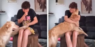 Cachorro acalma amorosamente jovem autista que se debatia numa crise de pânico