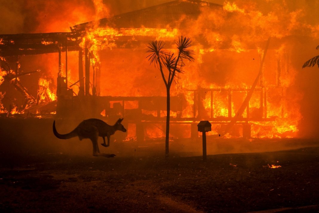 Chove no Sul da Austrália, chuva chega e ajuda a diminuir as chamas nas florestas