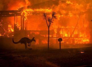 Chove no Sul da Austrália, chuva chega e ajuda a diminuir as chamas nas florestas