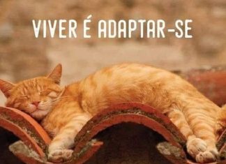 Viver é adaptar-se