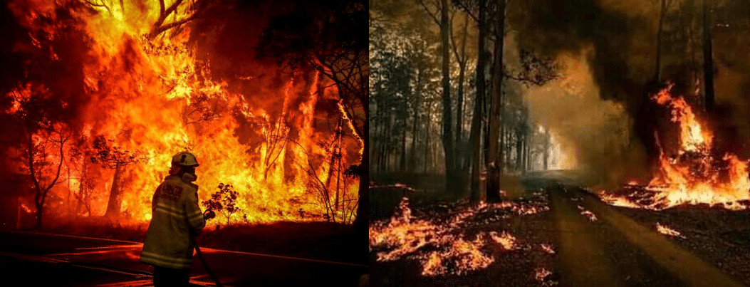 Subiu para 23 o número de mortos devido aos incêndios florestais na Austrália sensivel-mente.com - Subiu para 23 o número de mortos devido aos incêndios florestais na Austrália